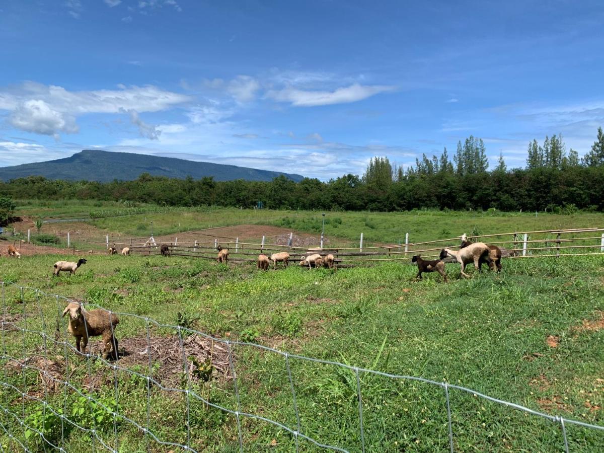 ฟาร์มแกะภูกระดึง Waraporn Valley Ban Nong Tum 外观 照片
