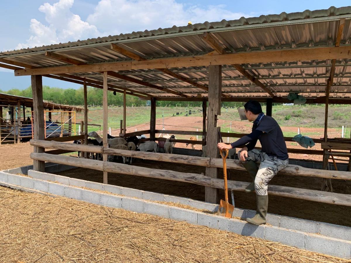 ฟาร์มแกะภูกระดึง Waraporn Valley Ban Nong Tum 外观 照片